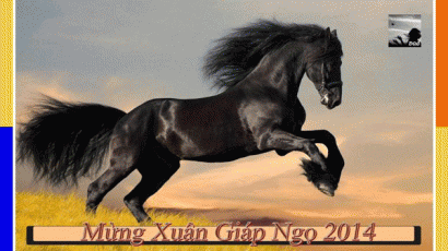 Mừng Xuân Giáp Ngọ 2014