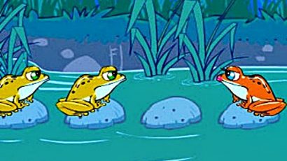 KNS – Hãy tiếp tục bơi!