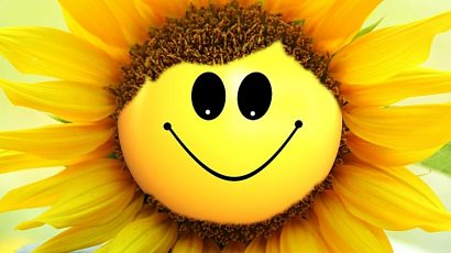 KNS – Nụ cười