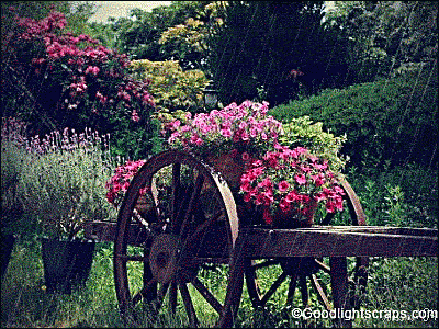 KNS – Sống thanh thản giữa đời