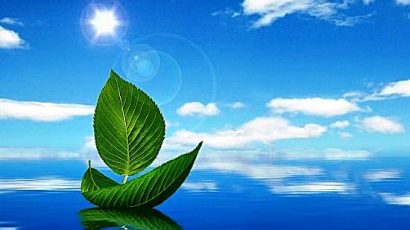 KNS – Chiếc lá hoàn mỹ