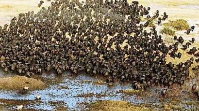 GTSN – Sức mạnh của sự đoàn kết