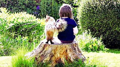 BĐV – Tuổi thơ quá dài – Truyện ngắn của Phạm Quang Thu