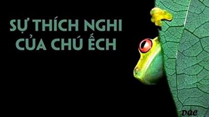 KNS – Sự thích nghi của chú Ếch