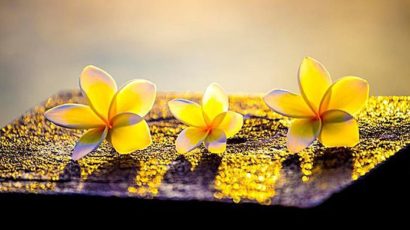 CNCS – Ba điều trong đời