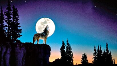 CNCS – Những con sói trong tâm hồn