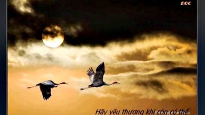 GĐGD – Hãy yêu thương khi còn có thể!