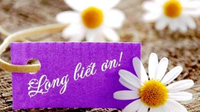 GĐGD – Câu chuyện về Lòng Biết Ơn