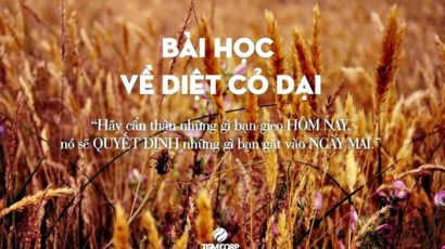 GĐGD – Bài học về diệt cỏ dại
