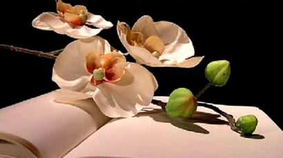 CNCS – Hãy biết ơn đời