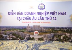 Ảnh – Sinh hoạt của CĐNVro năm 2025
