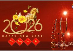 Mừng Xuân Bính Ngọ 2026